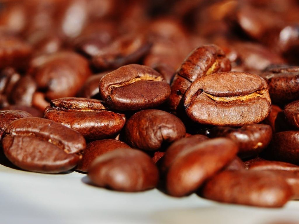 Kafa je zdrava kada se umereno pije?